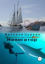 Книга - Валерий  Цуркан - Навигатор (fb2) читать без регистрации