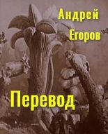 Книга - Андрей Игоревич Егоров - Перевод (fb2) читать без регистрации