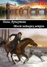 Книга - Дана  Арнаутова - Мост четырех ветров (fb2) читать без регистрации