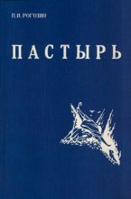 Книга - Павел Иосифович Рогозин - Пастырь (fb2) читать без регистрации
