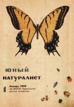 Книга - Журнал  «Юный натуралист» - Юный натуралист 1936 №1 (fb2) читать без регистрации
