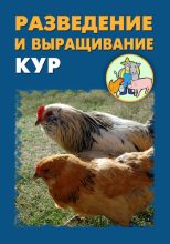 Книга - Илья  Мельников - Разведение и выращивание кур (fb2) читать без регистрации