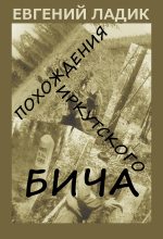 Книга - Евгений Павлович Ладик - Похождения иркутского бича (fb2) читать без регистрации
