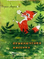 Книга - Борис  Априлов - Приключения лисёнка (fb2) читать без регистрации