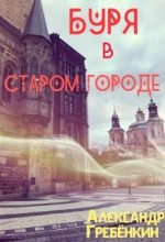 Книга - Александр  Гребенкин - Буря в старом городе (СИ) (fb2) читать без регистрации