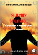 Книга - Вячеслав Александрович Калашников - Я душу оголяю (fb2) читать без регистрации