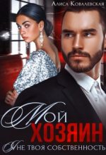 Книга - Алиса  Ковалевская - Мой хозяин. Я не твоя собственность (fb2) читать без регистрации