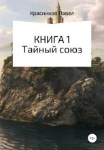 Книга - Павел Витальевич Красников - Книга 1. Тайный союз (fb2) читать без регистрации