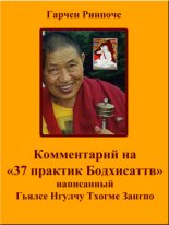 Книга - Гарчен  Ринпоче - Комментарий на «37 практик Бодхисаттв» (fb2) читать без регистрации