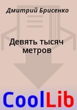 Книга - Дмитрий  Брисенко - Девять тысяч метров (fb2) читать без регистрации