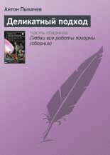 Книга - Антон  Пыхачев - Деликатный подход (fb2) читать без регистрации