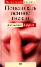 Книга - Джонатан  Кэрролл - Поцеловать осиное гнездо (fb2) читать без регистрации