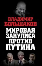 Книга - Владимир Викторович Большаков - Мировая закулиса против Путина (fb2) читать без регистрации