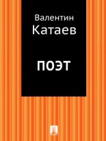 Книга - Валентин Петрович Катаев - Поэт (fb2) читать без регистрации