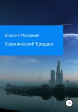 Книга - Виталий Владимирович Макушкин - Космический бродяга (fb2) читать без регистрации