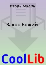 Книга - Игорь  Малин - Закон Божий (fb2) читать без регистрации