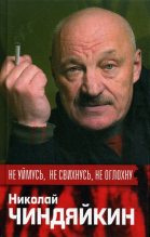 Книга - Николай Дмитриевич Чиндяйкин - Не уймусь, не свихнусь, не оглохну (fb2) читать без регистрации