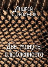 Книга - Андрей Валерьевич Степанов - Две минуты влюбленности (fb2) читать без регистрации