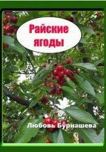 Книга - Любовь  Бурнашева - Райские ягоды (fb2) читать без регистрации