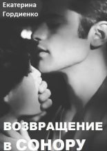 Книга - Екатерина Сергеевна Гордиенко - Возвращение в Сонору (СИ) (fb2) читать без регистрации