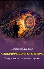 Книга - Вадим  Шелудяков - Тулку на испытательном сроке (fb2) читать без регистрации