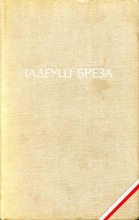 Книга - Тадеуш  Бреза - Валтасаров пир. Лабиринт (fb2) читать без регистрации