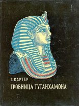 Книга - Говард  Картер - Гробница Тутанхамона (fb2) читать без регистрации