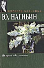 Книга - Юрий Маркович Нагибин - По пути в бессмертие (fb2) читать без регистрации