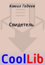 Книга - Камил  Гадеев - Свидетель (fb2) читать без регистрации