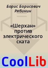 Книга - Борис Борисович Рябинин - «Шерхан» против электрического ската (fb2) читать без регистрации