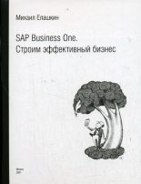 Книга - Михаил  Елашкин - SAP Business One. Строим эффективный бизнес (fb2) читать без регистрации