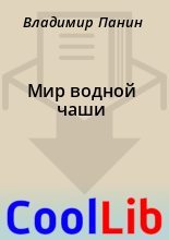 Книга - Владимир  Панин - Мир водной чаши (fb2) читать без регистрации
