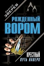 Книга - Сергей Иванович Зверев - Политика на крови (fb2) читать без регистрации