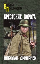 Книга - Николай Николаевич Дмитриев - Брестские ворота (fb2) читать без регистрации