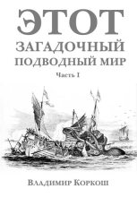 Книга - Владимир Васильевич Коркош (Korkosh) - Этот загадочный подводный мир. Часть 1 (fb2) читать без регистрации