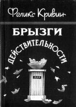 Книга - Феликс Давидович Кривин - Брызги действительности (fb2) читать без регистрации