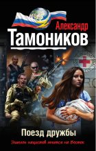 Книга - Александр Александрович Тамоников - Поезд дружбы (fb2) читать без регистрации