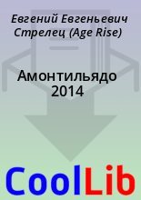 Книга - Евгений Евгеньевич Стрелец (Age Rise) - Амонтильядо 2014 (fb2) читать без регистрации