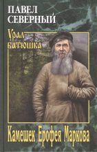 Книга - Павел Александрович Северный - Камешек Ерофея Маркова (fb2) читать без регистрации