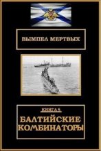 Книга - Константин Николаевич Буланов - Балтийские комбинаторы (СИ) (fb2) читать без регистрации