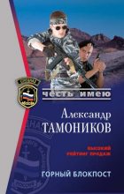 Книга - Александр Александрович Тамоников - Горный блокпост (fb2) читать без регистрации