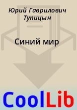 Книга - Юрий Гаврилович Тупицын - Синий мир (fb2) читать без регистрации