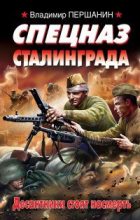 Книга - Владимир Николаевич Першанин - Спецназ Сталинграда. (fb2) читать без регистрации