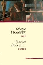 Книга - Тадеуш  Ружевич - Грех (fb2) читать без регистрации