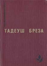 Книга - Тадеуш  Бреза - Лабиринт (fb2) читать без регистрации