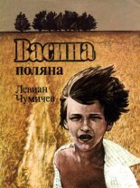 Книга - Левиан Иванович Чумичев - Васина Поляна (fb2) читать без регистрации