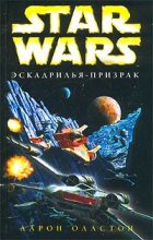 Книга - Аарон  Оллстон - X-Wing-5: Эскадрилья-призрак (fb2) читать без регистрации