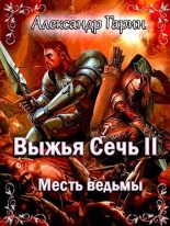 Книга - Александр Олегович Гарин - Месть ведьмы (fb2) читать без регистрации