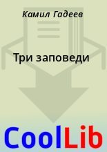 Книга - Камил  Гадеев - Три заповеди (fb2) читать без регистрации