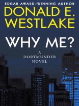 Книга - Дональд Эдвин Уэстлейк - Почему я? (fb2) читать без регистрации